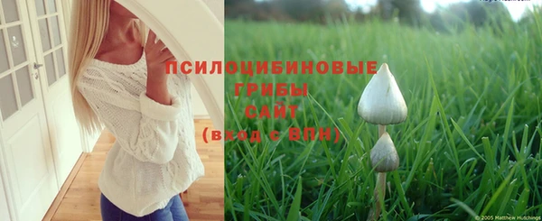 ПСИЛОЦИБИНОВЫЕ ГРИБЫ Беломорск