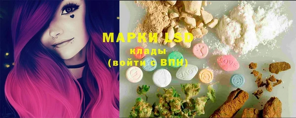 ПСИЛОЦИБИНОВЫЕ ГРИБЫ Беломорск