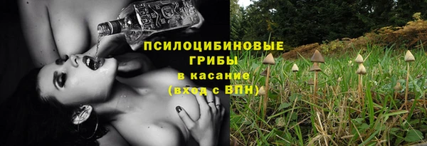 ПСИЛОЦИБИНОВЫЕ ГРИБЫ Беломорск