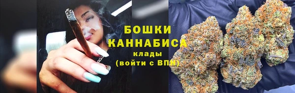 ПСИЛОЦИБИНОВЫЕ ГРИБЫ Беломорск