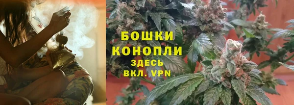 прущий лед Белокуриха