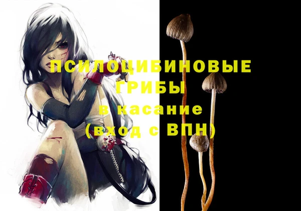 прущий лед Белокуриха