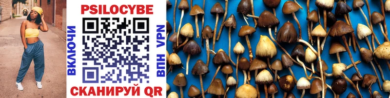 Галлюциногенные грибы Cubensis  Усолье 